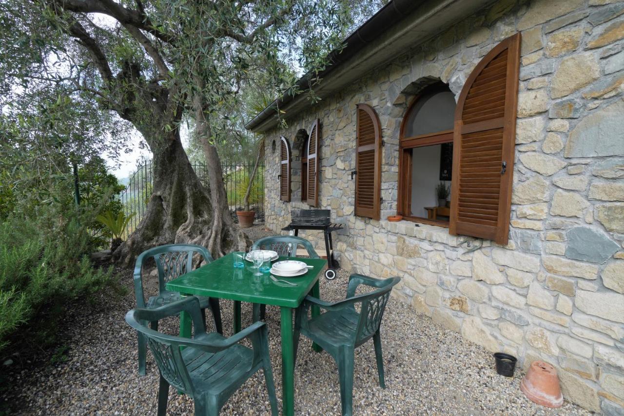 U Ciousu By Ligurian Life Appartamenti In Agriturismo Vallebona エクステリア 写真