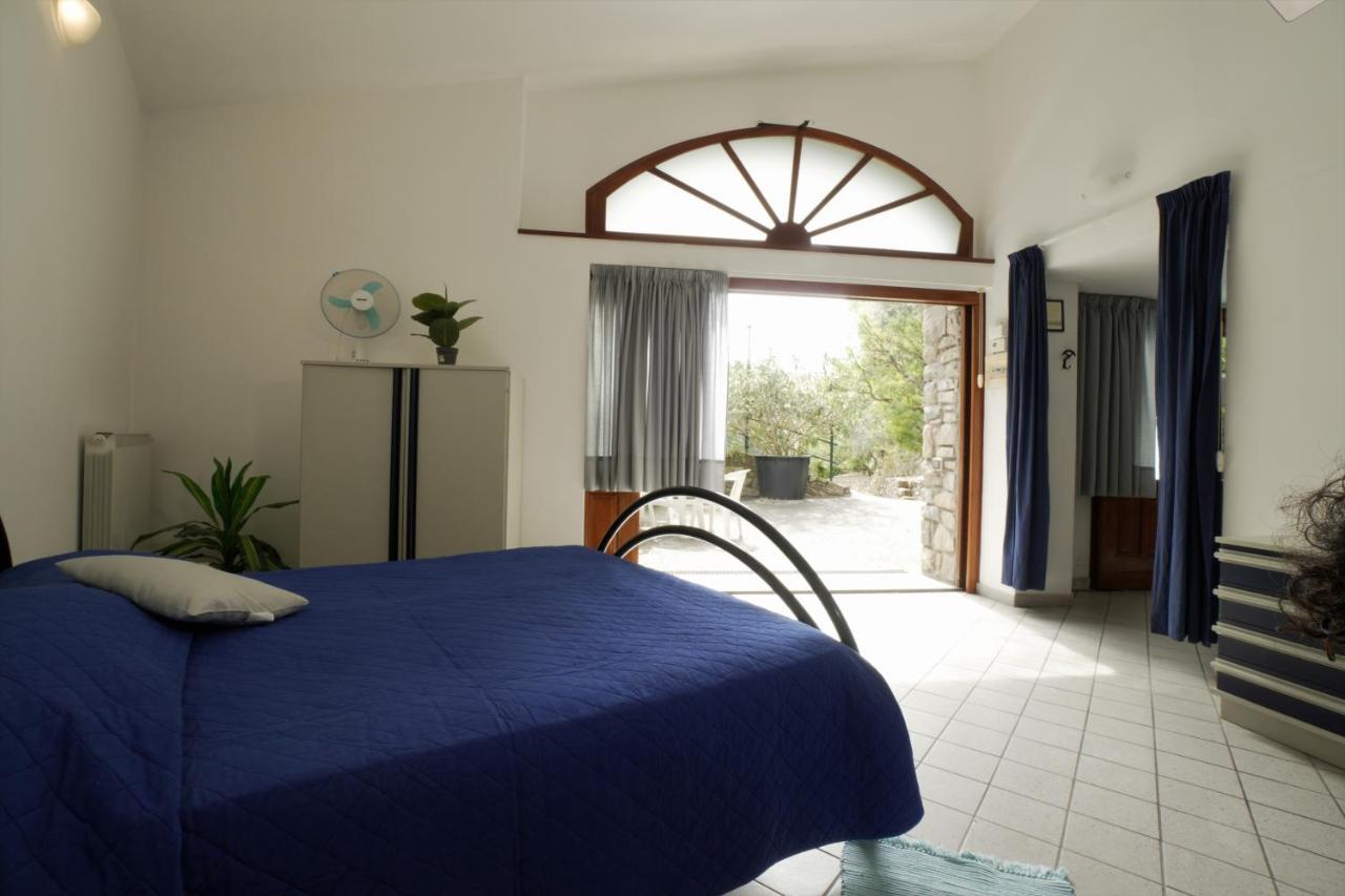 U Ciousu By Ligurian Life Appartamenti In Agriturismo Vallebona エクステリア 写真