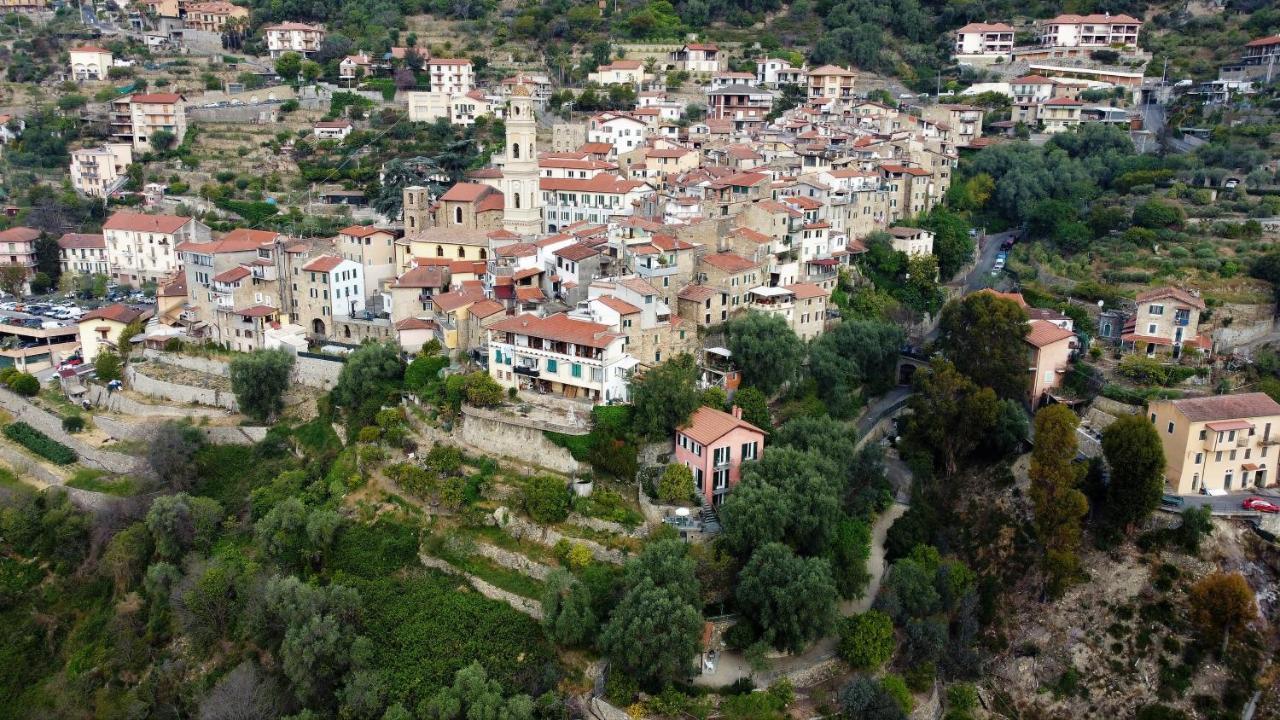 U Ciousu By Ligurian Life Appartamenti In Agriturismo Vallebona エクステリア 写真