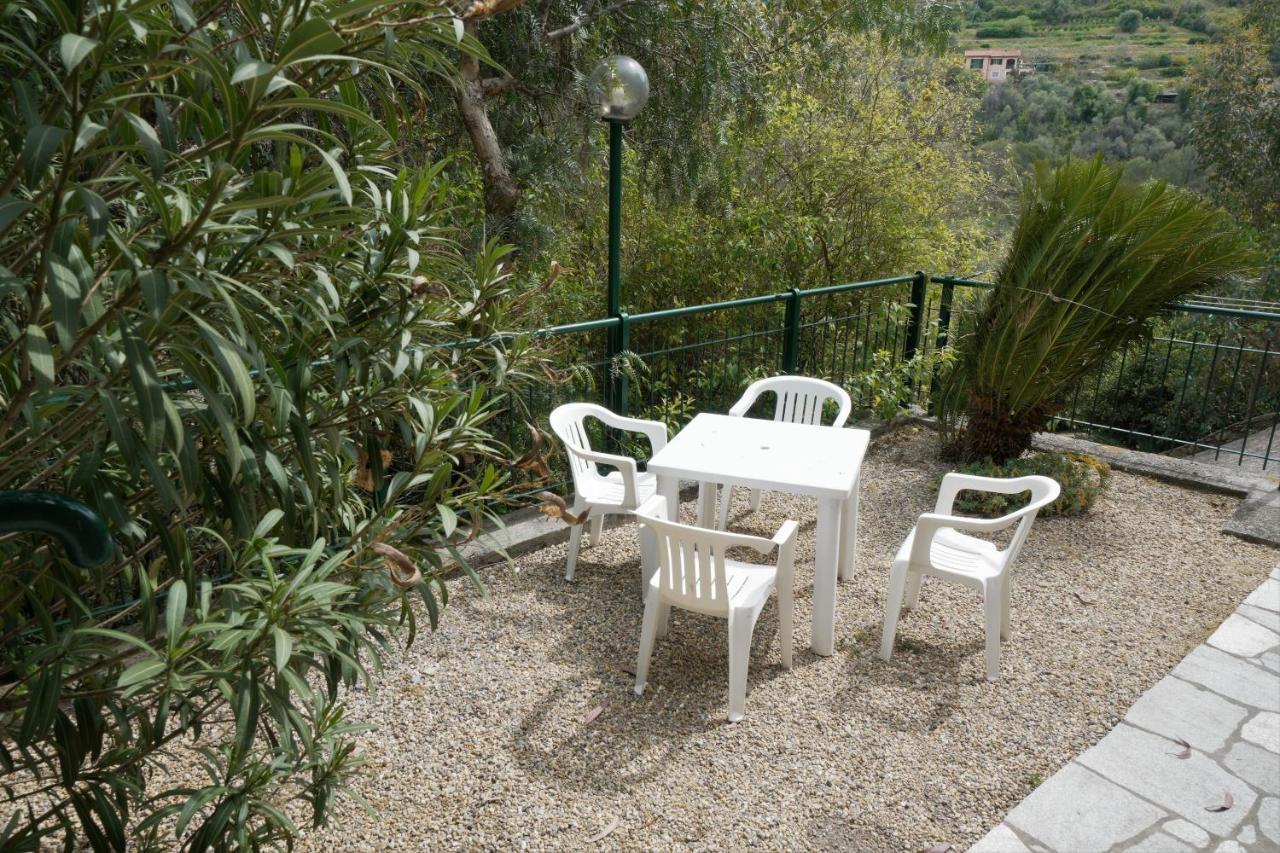 U Ciousu By Ligurian Life Appartamenti In Agriturismo Vallebona エクステリア 写真