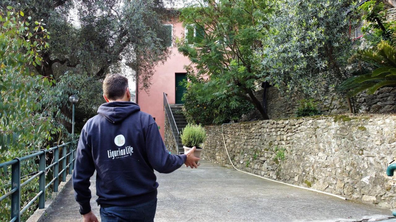U Ciousu By Ligurian Life Appartamenti In Agriturismo Vallebona エクステリア 写真